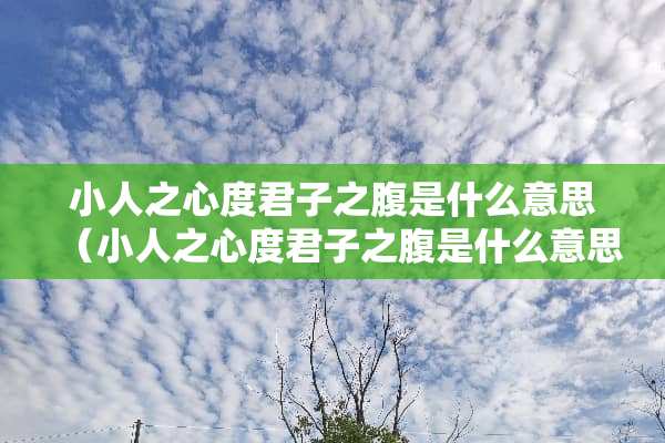 小人之心度君子之腹是什么意思（小人之心度君子之腹是什么意思感情）