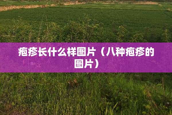 疱疹长什么样图片（八种疱疹的图片）