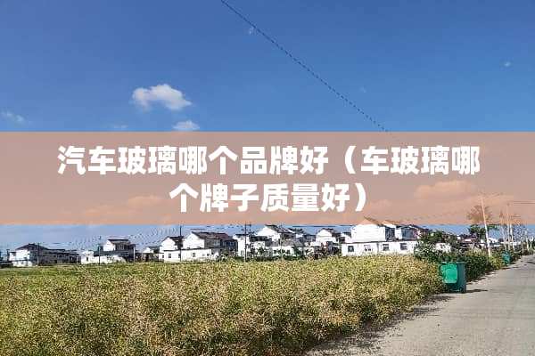 汽车玻璃哪个品牌好（车玻璃哪个牌子质量好）