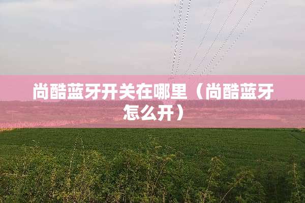 尚酷蓝牙开关在哪里（尚酷蓝牙怎么开）