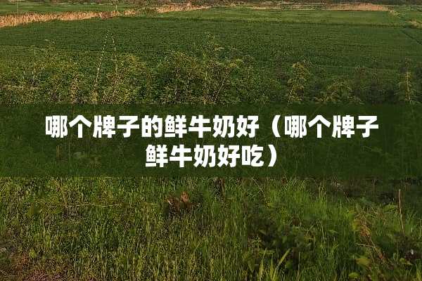 哪个牌子的鲜牛奶好（哪个牌子鲜牛奶好吃）