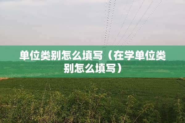 单位类别怎么填写（在学单位类别怎么填写）