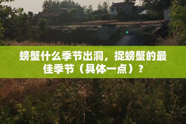 螃蟹什么季节出洞，捉螃蟹的最佳季节（具体一点）？