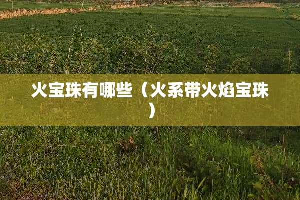 火宝珠有哪些（火系带火焰宝珠）
