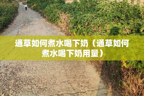 通草如何煮水喝下奶（通草如何煮水喝下奶用量）