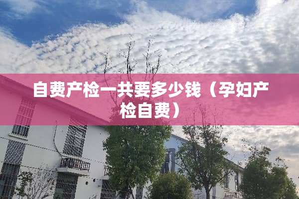 自费产检一共要多少钱（孕妇产检自费）