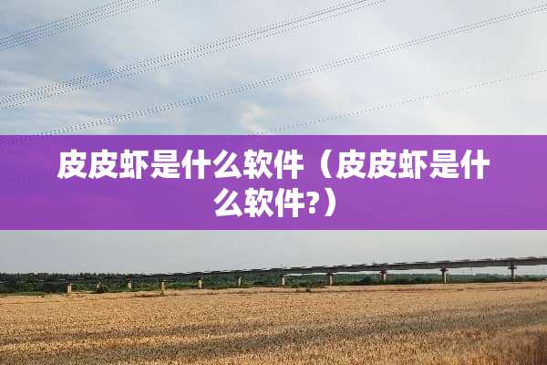 皮皮虾是什么软件（皮皮虾是什么软件?）