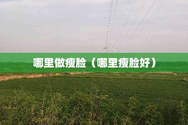 哪里做瘦脸（哪里瘦脸好）