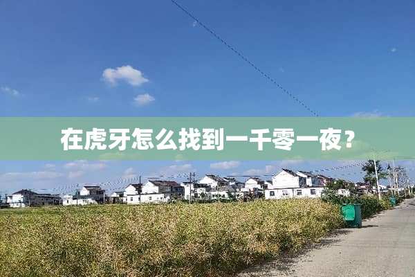 在**怎么找到一千零**？