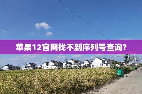 苹果12官网找不到序列号查询？