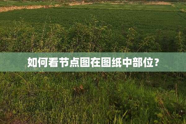 如何看节点图在图纸中部位？