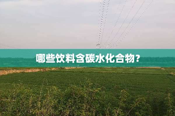 哪些饮料含碳水化合物？