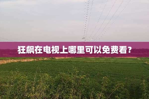 狂飙在电视上哪里可以免费看？