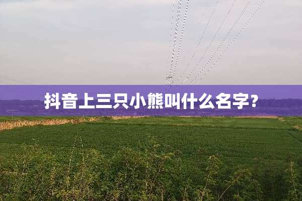 抖音上三只小熊叫什么名字？