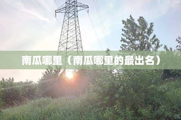 南瓜哪里（南瓜哪里的最出名）