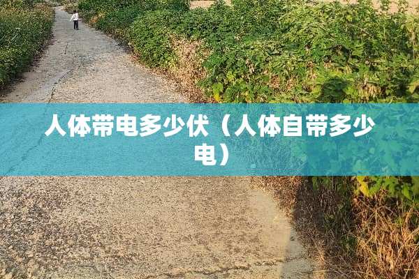 人体带电多少伏（人体自带多少电）