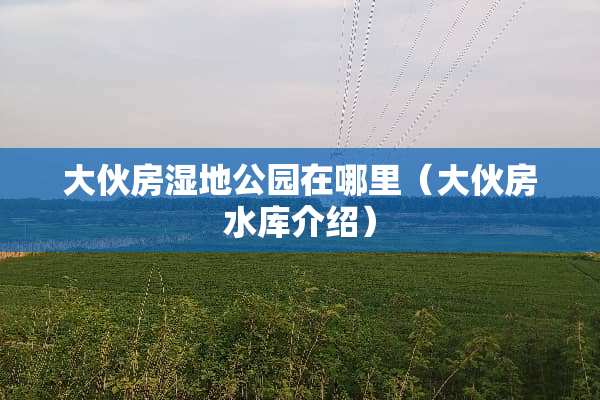 大伙房湿地公园在哪里（大伙房水库介绍）