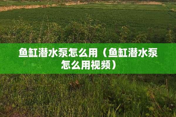 鱼缸潜水泵怎么用（鱼缸潜水泵怎么用视频）