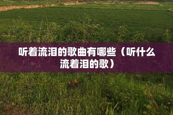 听着流泪的歌曲有哪些（听什么流着泪的歌）