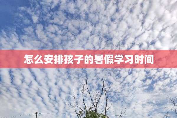怎么安排孩子的暑假学习时间