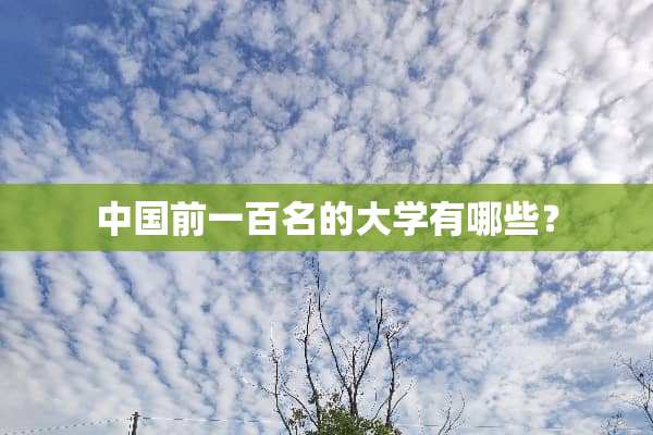 中国前一百名的大学有哪些？