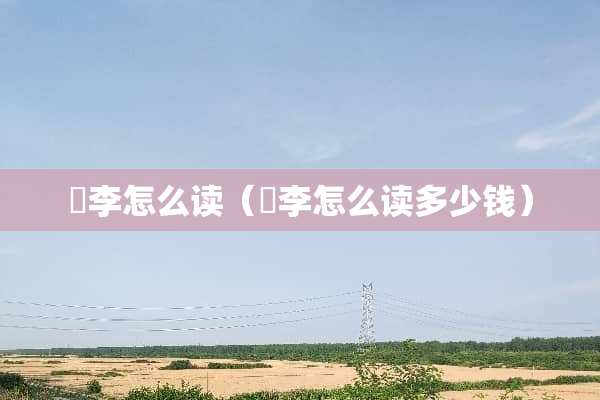 槜李怎么读（槜李怎么读多少钱）