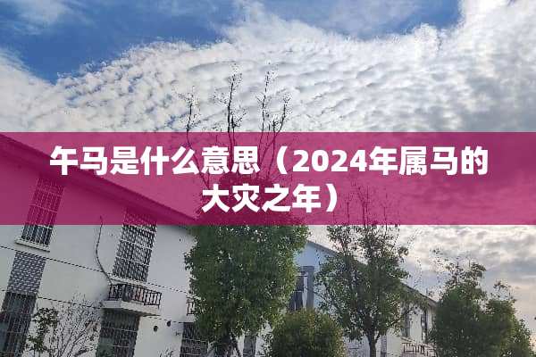 午马是什么意思（2024年属马的大灾之年）