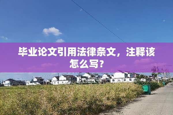 毕业论文引用法律条文，注释该怎么写？