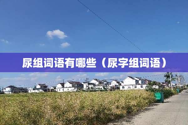 尿组词语有哪些（尿字组词语）