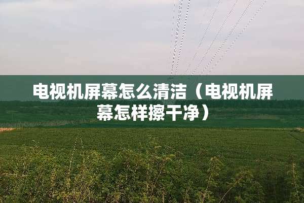 电视机屏幕怎么清洁（电视机屏幕怎样擦干净）
