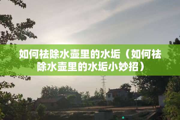 如何祛除水壶里的水垢（如何祛除水壶里的水垢小妙招）