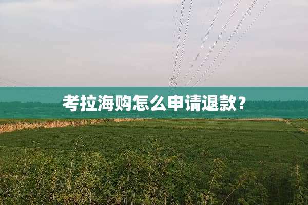 考拉海购怎么申请退款？