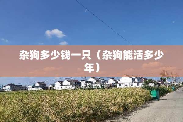 杂狗多少钱一只（杂狗能活多少年）