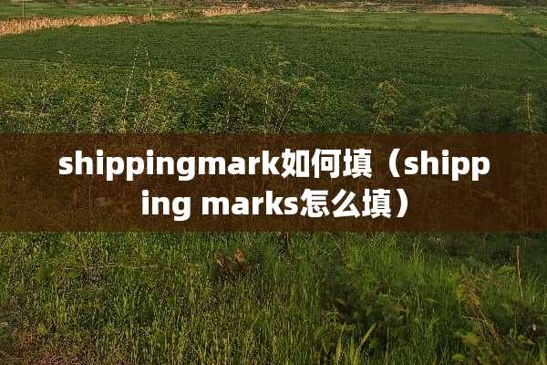 shippingmark如何填（shipping marks怎么填）