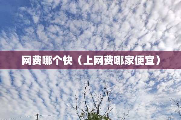 网费哪个快（上网费哪家便宜）