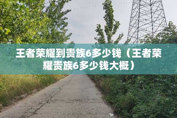 王者荣耀到贵族6多少钱（王者荣耀贵族6多少钱大概）
