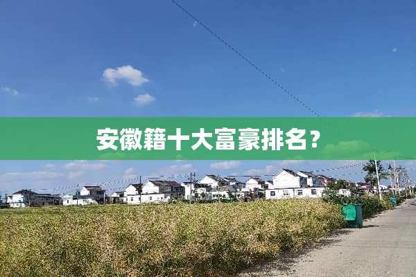 安徽籍十大富豪排名？