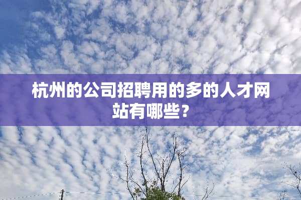 杭州的公司招聘用的多的人才网站有哪些？