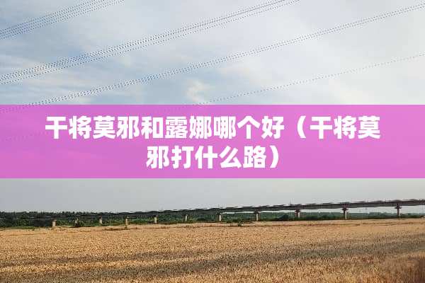 干将莫邪和露娜哪个好（干将莫邪打什么路）