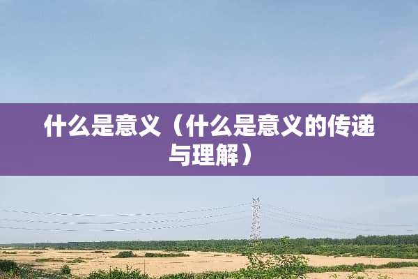 什么是意义（什么是意义的传递与理解）
