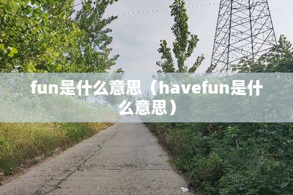 fun是什么意思（havefun是什么意思）