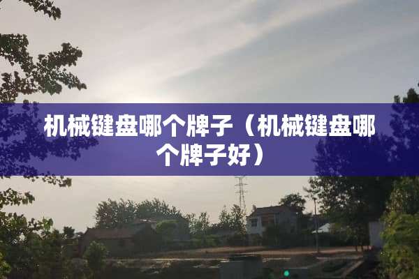 机械键盘哪个牌子（机械键盘哪个牌子好）