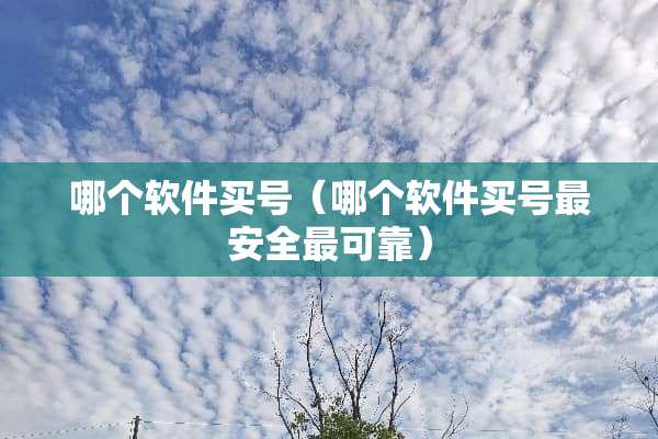 哪个软件买号（哪个软件买号最安全最可靠）