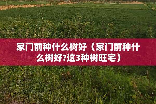 家门前种什么树好（家门前种什么树好?这3种树旺宅）