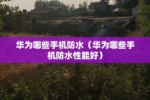 华为哪些手机防水（华为哪些手机防水性能好）