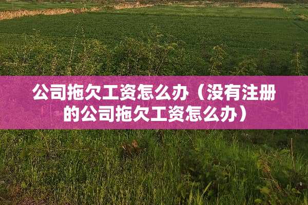 公司拖欠工资怎么办（没有注册的公司拖欠工资怎么办）