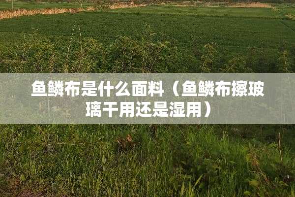 鱼鳞布是什么面料（鱼鳞布擦玻璃干用还是湿用）
