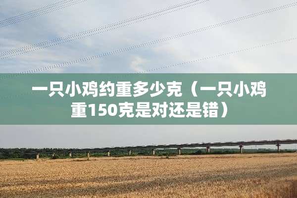 一只小鸡约重多少克（一只小鸡重150克是对还是错）