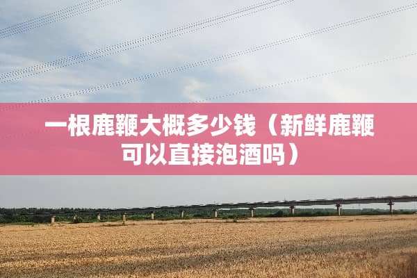 一根鹿鞭大概多少钱（新鲜鹿鞭可以直接泡酒吗）