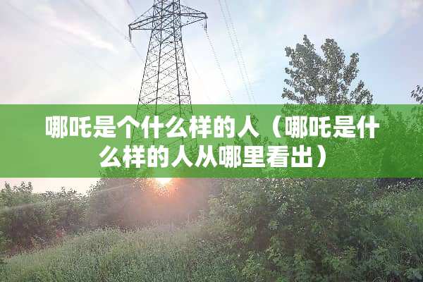 哪吒是个什么样的人（哪吒是什么样的人从哪里看出）